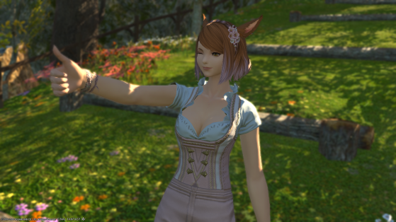 Eight Tips to make your FFXIV Screenshots Look Amazing