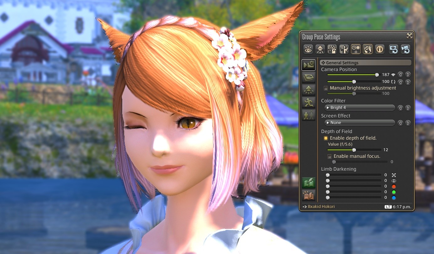 Eight Tips to make your FFXIV Screenshots Look Amazing Millenium