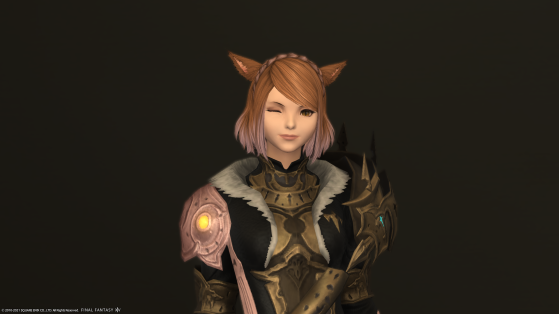 How to get the Form and Function Hairstyle in FFXIV