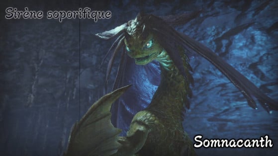 Monster Hunter Rise: How To Defeat Somnacanth