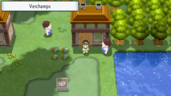 Pokemon Brilliant Diamond and Shining Pearl (BDSP) Walkthrough