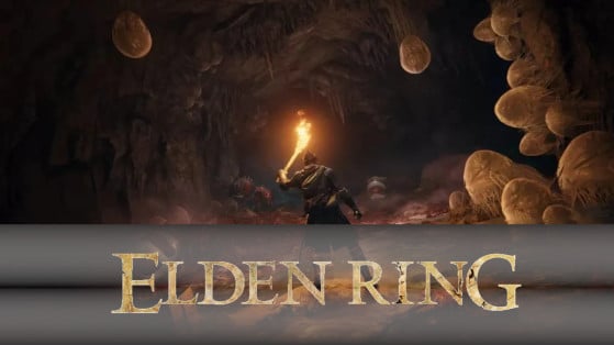 Elden Ring: From now on, impossible to miss the tutorial