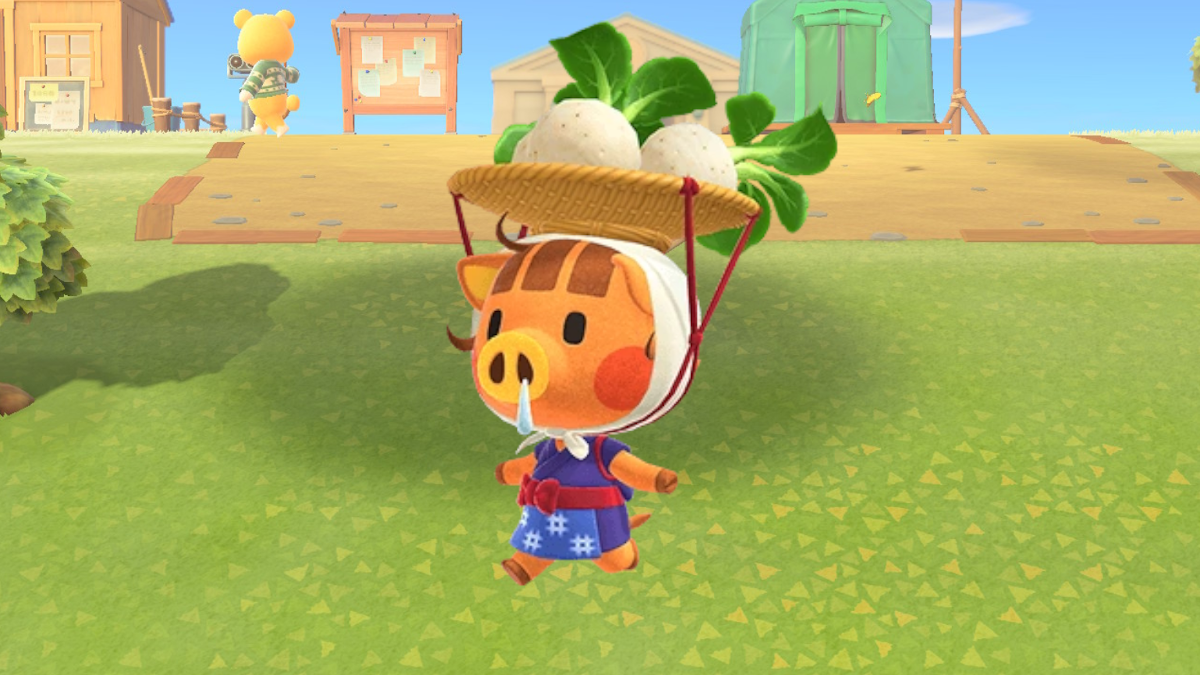 Animal Crossing New Horizons Turnips, Daisy Mae and how to take