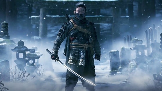  Ghost of TSUSHIMA Director's Cut- PS4 : Video Games