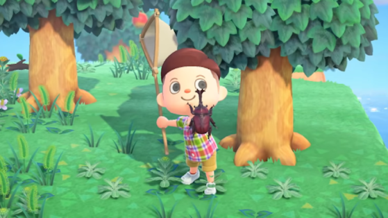 The rarest and most expensive insects in Animal Crossing: New Horizons