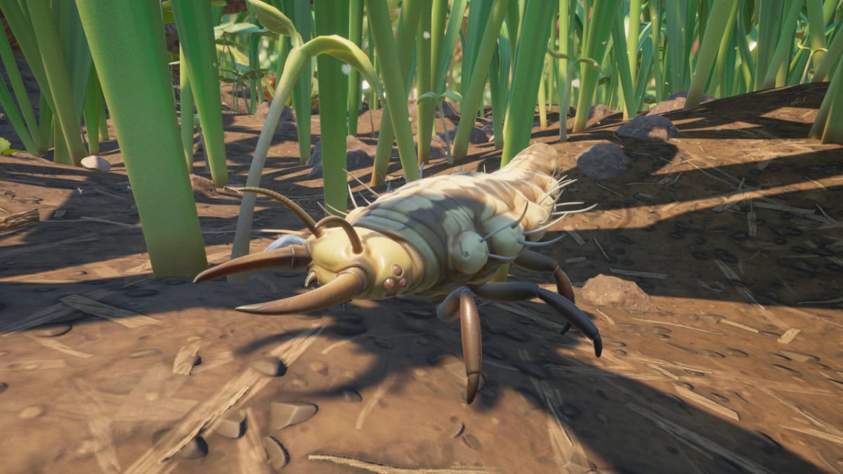 Grounded Acid Gland Where to find it? Millenium