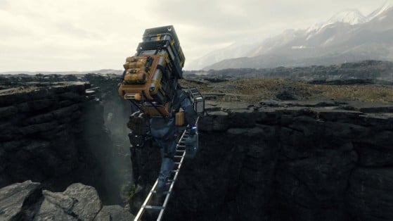 A ladder that may save the lives of several other players. - Death Stranding