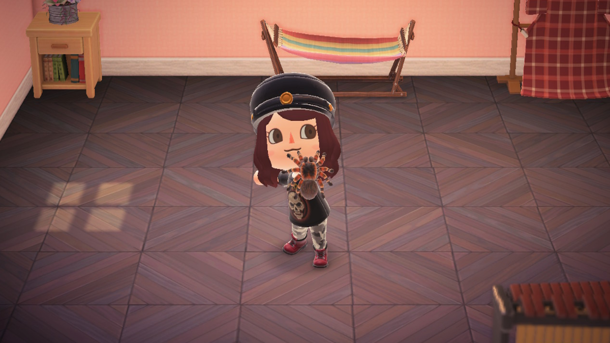 How to catch Tarantulas in Animal Crossing New Horizons Millenium