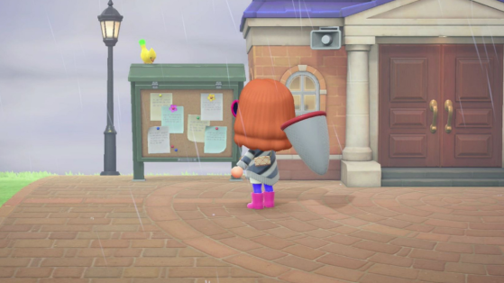 Animal Crossing: New Horizons: can you catch the owl and the yellow bird?