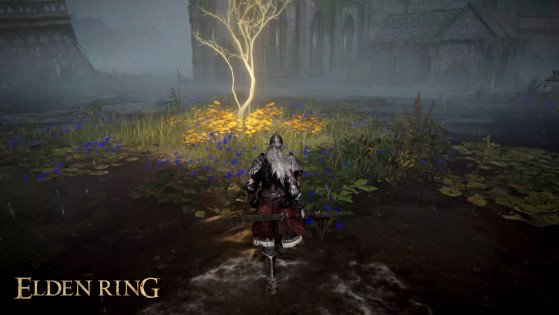 Elden Ring Let Me Solo Her Build Stats - Gamer Tweak