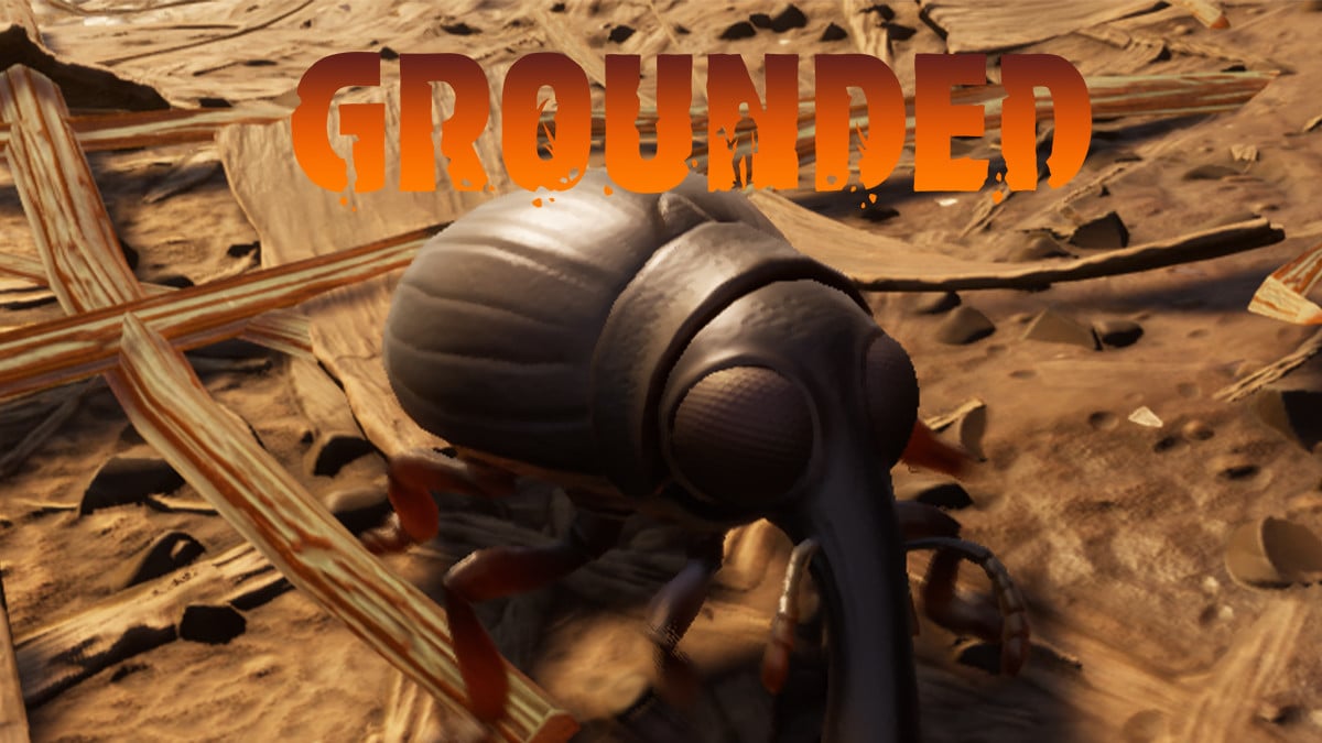 Grounded Weevil Where to find them, what are they used for? Millenium
