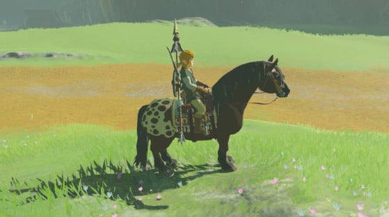 Zelda Breath of the Wild: Horses