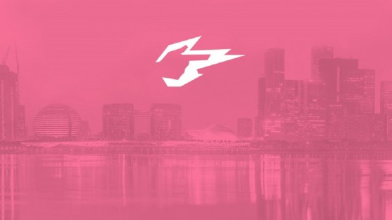 Overwatch League Hangzhou Spark: composition, roster, name, logo