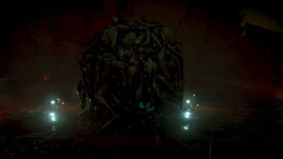 Giant Man Centipedes - Demon's Souls