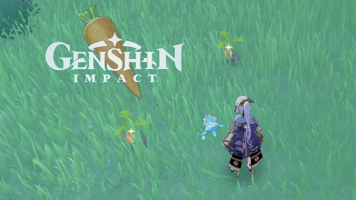 How to farm Carrots in Genshin Impact Millenium