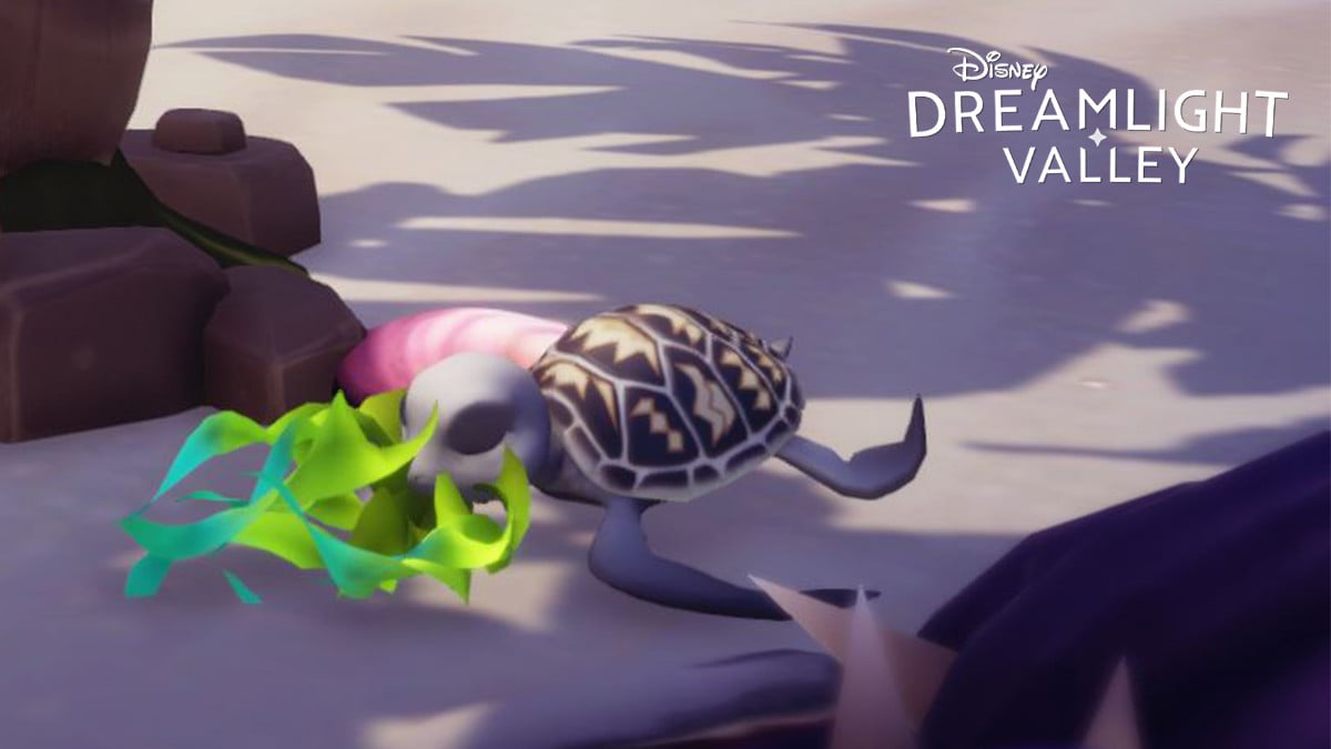Disney Dreamlight Valley turtle: Where to find it, How tame the critter easily? - Millenium
