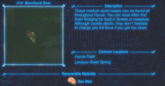 Zelda: Breath of the Wild