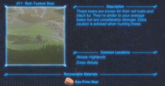 Zelda: Breath of the Wild