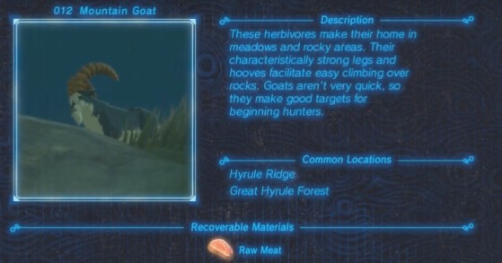 Zelda: Breath of the Wild