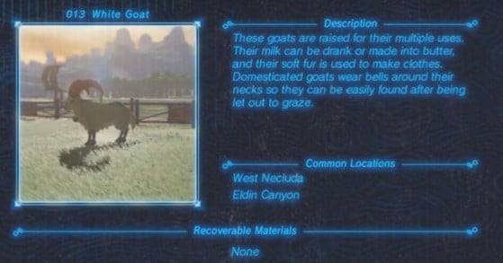 Zelda: Breath of the Wild