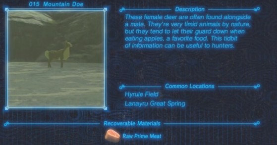 Zelda: Breath of the Wild