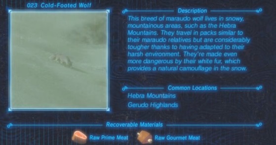 Zelda: Breath of the Wild