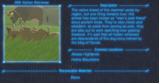 Zelda: Breath of the Wild