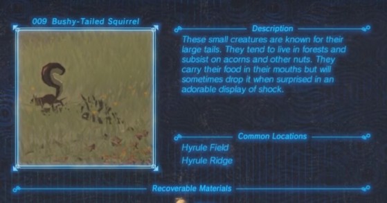 Zelda: Breath of the Wild