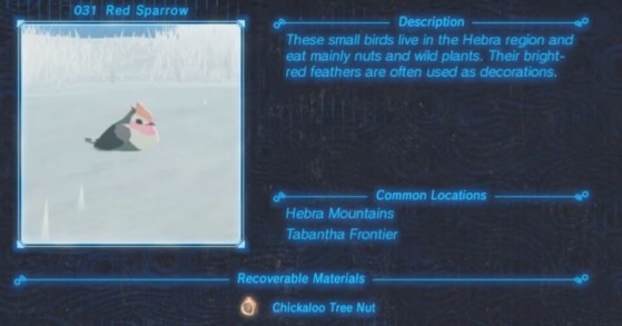 Zelda: Breath of the Wild