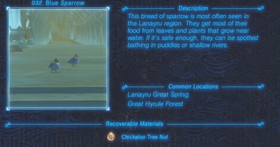 Zelda: Breath of the Wild