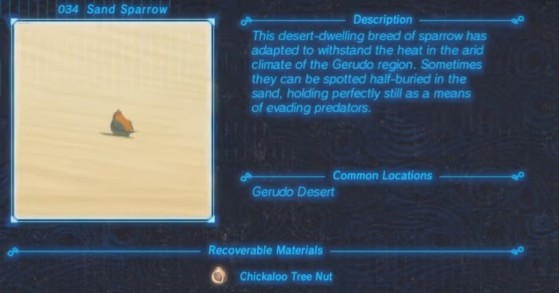 Zelda: Breath of the Wild