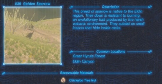 Zelda: Breath of the Wild