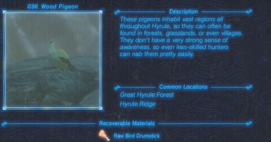 Zelda: Breath of the Wild