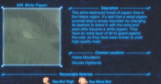 Zelda: Breath of the Wild