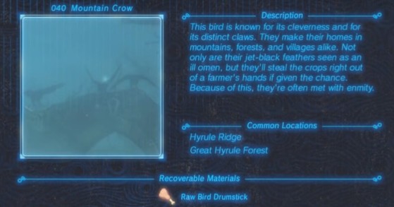 Zelda: Breath of the Wild