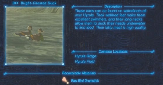 Zelda: Breath of the Wild