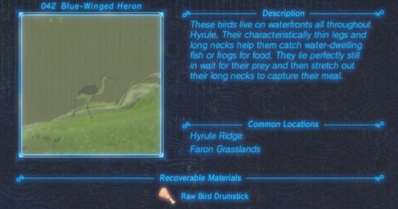 Zelda: Breath of the Wild