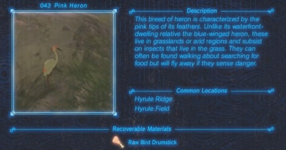 Zelda: Breath of the Wild