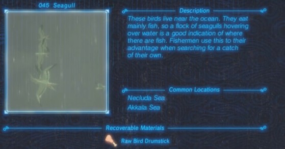 Zelda: Breath of the Wild