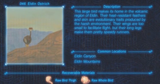 Zelda: Breath of the Wild