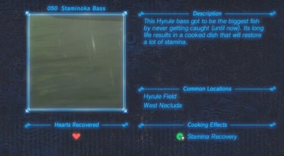 Zelda: Breath of the Wild