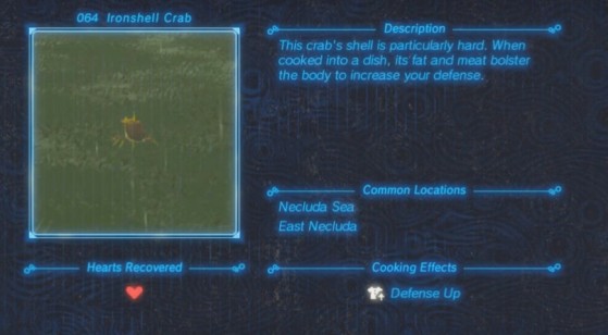 Zelda: Breath of the Wild