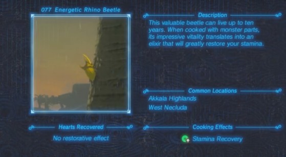 Zelda: Breath of the Wild