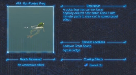 Zelda: Breath of the Wild