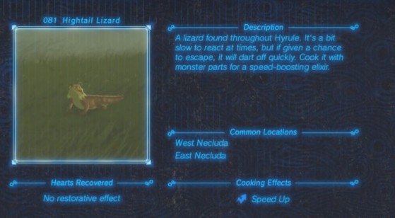 Zelda: Breath of the Wild