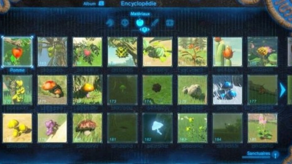 Treasures Zelda BotW, All Materials Millenium