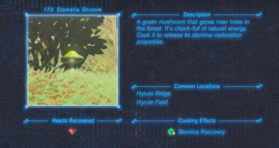 Zelda: Breath of the Wild