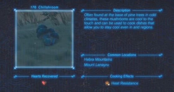 Zelda: Breath of the Wild