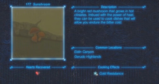 Zelda: Breath of the Wild