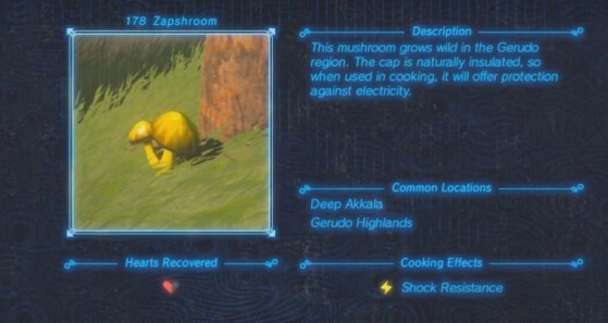 Zelda: Breath of the Wild